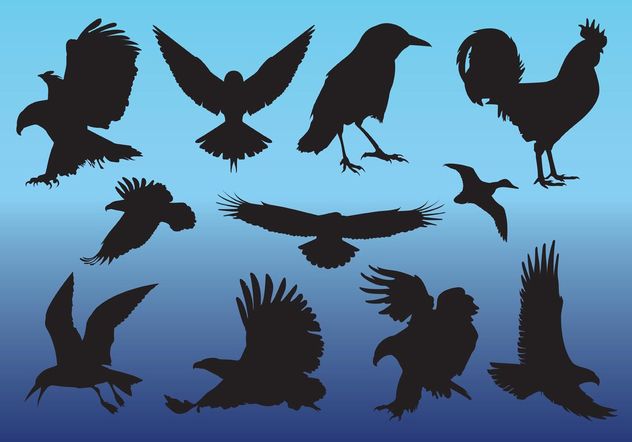 Free Birds Vectors - Kostenloses vector #157631