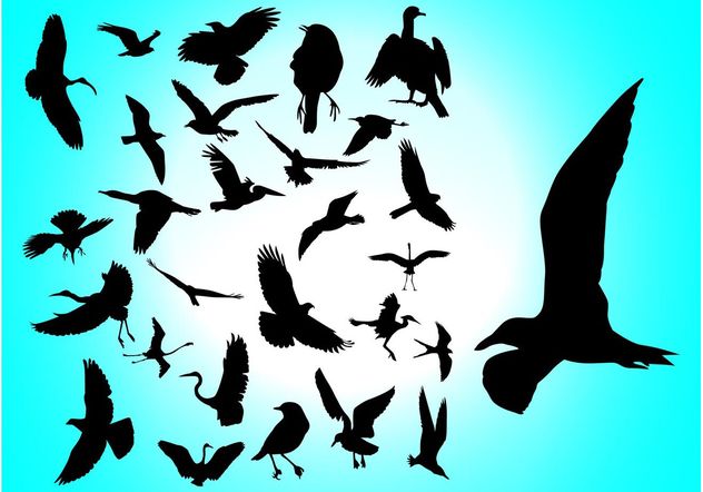 Flying Birds - Free vector #157701
