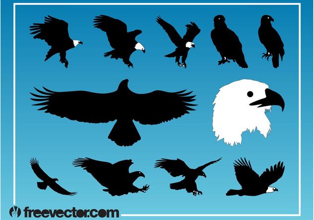 Eagles Vector Graphics - бесплатный vector #157771