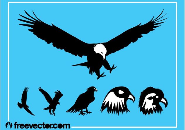 Eagles Silhouette Graphics - Free vector #157801