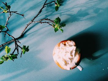 Coffee with whipped cream - бесплатный image #184201