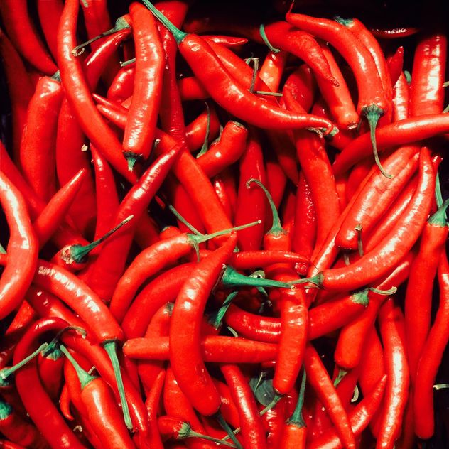 Red chili pepper - image #184481 gratis