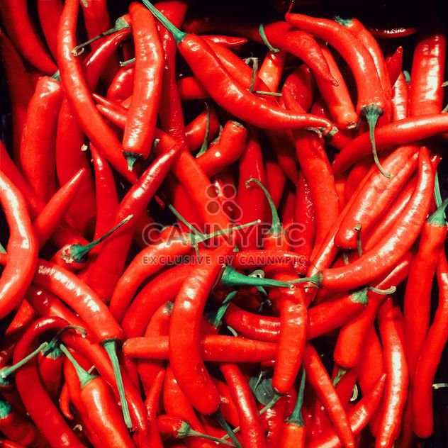 Red chili pepper - Free image #184481