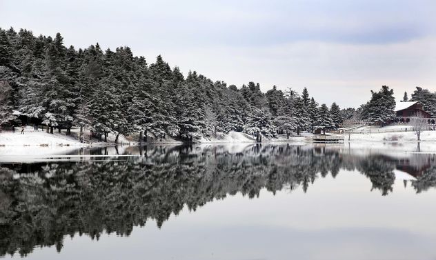 Pond in winter - Kostenloses image #185951