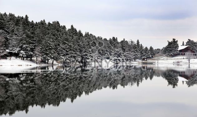 Pond in winter - image #185951 gratis
