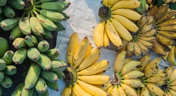 Bananas - image gratuit #186421 