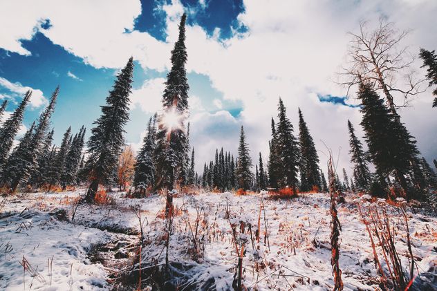 Amazing winter landscape - image #186601 gratis