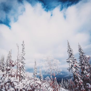 Amazing winter landscape - image #186611 gratis