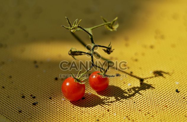 Ripe cherry tomatoes - image #186701 gratis
