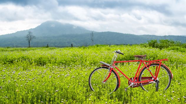 Red bicycle on a green meadow - image gratuit #186931 