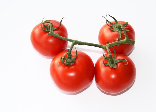 Tomatoes on branch - Free image #187811
