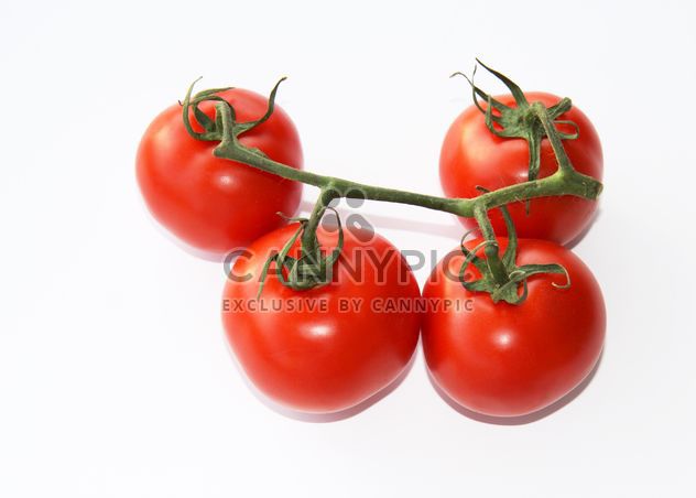 Tomatoes on branch - image gratuit #187811 