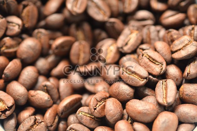 Coffee beans - image #198081 gratis