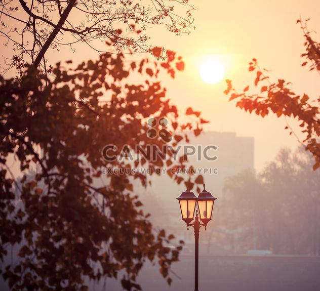 urban landscape with a lantern and trees - image #198561 gratis