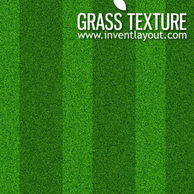 Grass Texture-Seamless - Free vector #207861