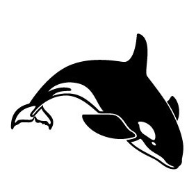 Killer Whale Vector Image - Kostenloses vector #215061