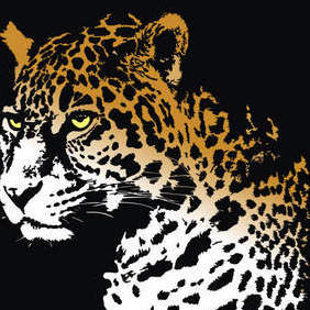 Jaguar - vector gratuit #222411 