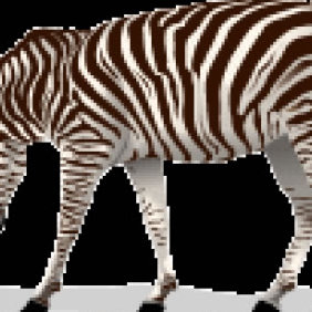 Zebra 2 - vector gratuit #223731 
