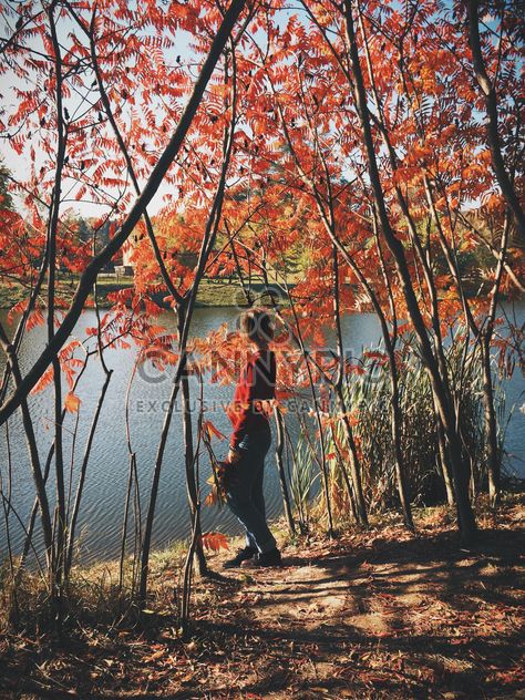 #autumncity, Girl under autumn trees on the shore of the lake - Free image #271701