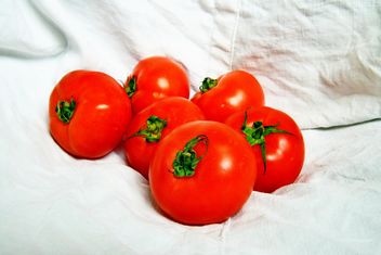 Six Tomatoes - image #274831 gratis