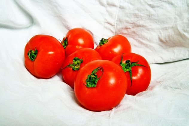 Six Tomatoes - image gratuit #274831 