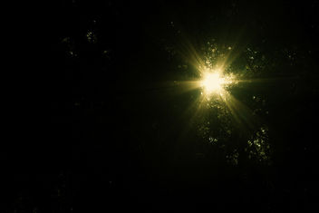 The Light from the Dark - бесплатный image #277571