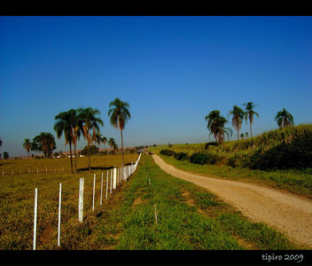 Little Road To The Farm - Kostenloses image #280101