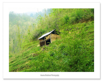 Beautiful Nepal !! - image #280111 gratis