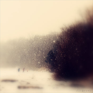 Winter Walk - бесплатный image #280861