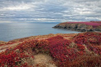 Irish Pomegranate Coast - HDR - Free image #290191