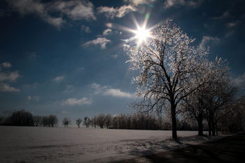 Natures Beauty - Christmas Ice Storm 2013 in Michigan - бесплатный image #290491