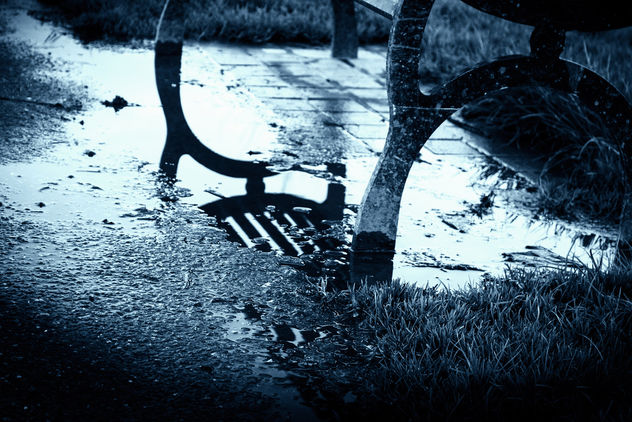 Winter puddle - image #291081 gratis