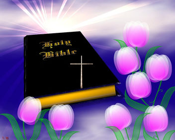 Holy Bible - image #291311 gratis