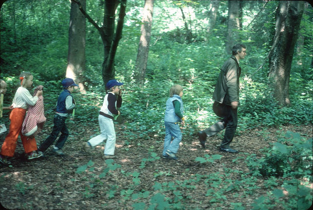 Children's nature walk in Discovery Park, 1978 - image gratuit #291481 