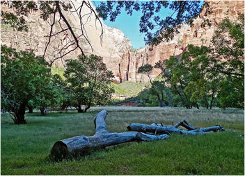 Zion NP, Grotto Trail Meadow 5-1-14e - image #292261 gratis