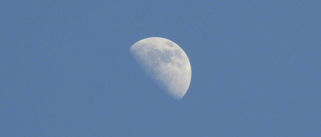 Blue Sky Moon - Free image #292311