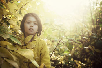 autumn child - image #294611 gratis
