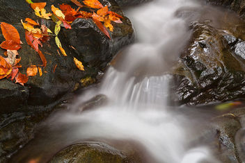 Glen Artney Stream - HDR - Free image #294871