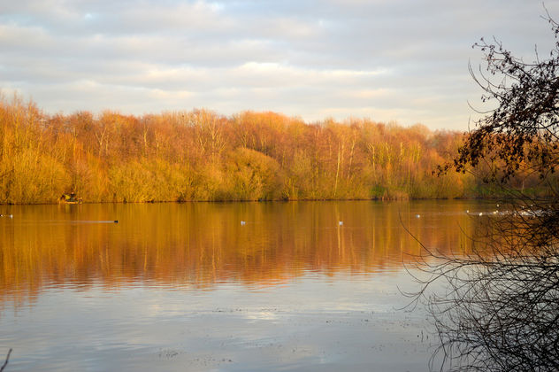 Chorton Water Park - A winter walk in late December 2015 - Free image #295571
