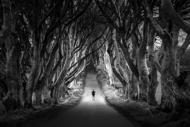The photographer at the Dark Hedges, Northern Ireland - бесплатный image #295611