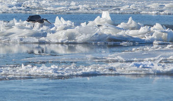 Frozen Hudson River Kingston New York - image gratuit #295801 