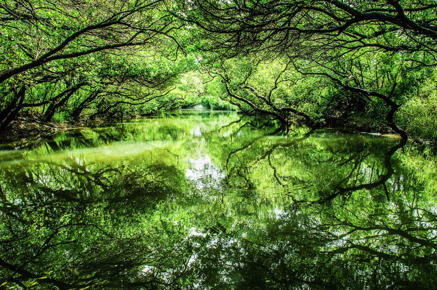 Green river - Free image #298711