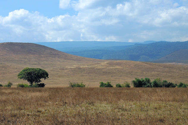 Tanzania (Ngorongoro) Another view from conservation area - Kostenloses image #300811