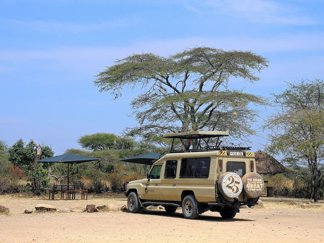 Tanzania (Serengeti National Park) Safari vehicle - Kostenloses image #300961