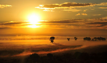Morning Fog on Seedskadee National Wildlife Refuge - бесплатный image #301251