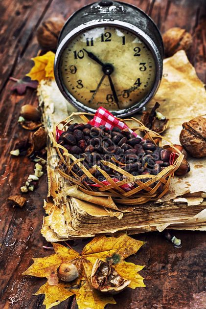 Vintage alarm clock, autumn leaves and nuts - бесплатный image #302001