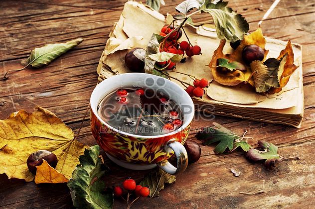 Cup of tea, dry leaves, chestnuts and book - бесплатный image #302011