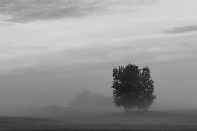 Morning mist - Free image #302271