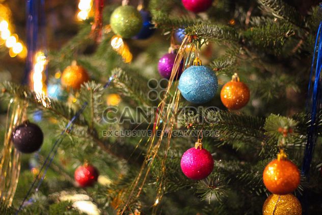 Decorated Christmas tree - Free image #302361