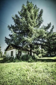 Old little hut in forest - image #302771 gratis